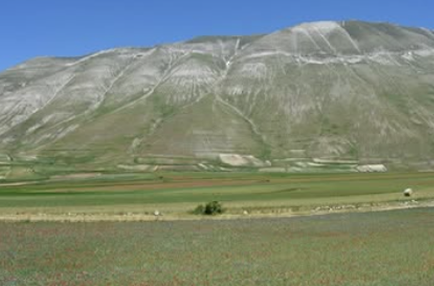  Virtual Conference on Geoconservation
