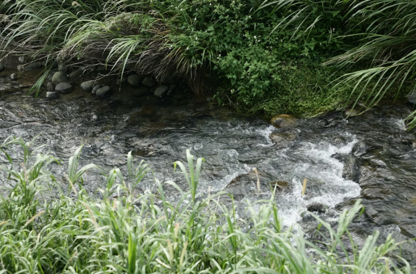  Andare come fossimo acqua