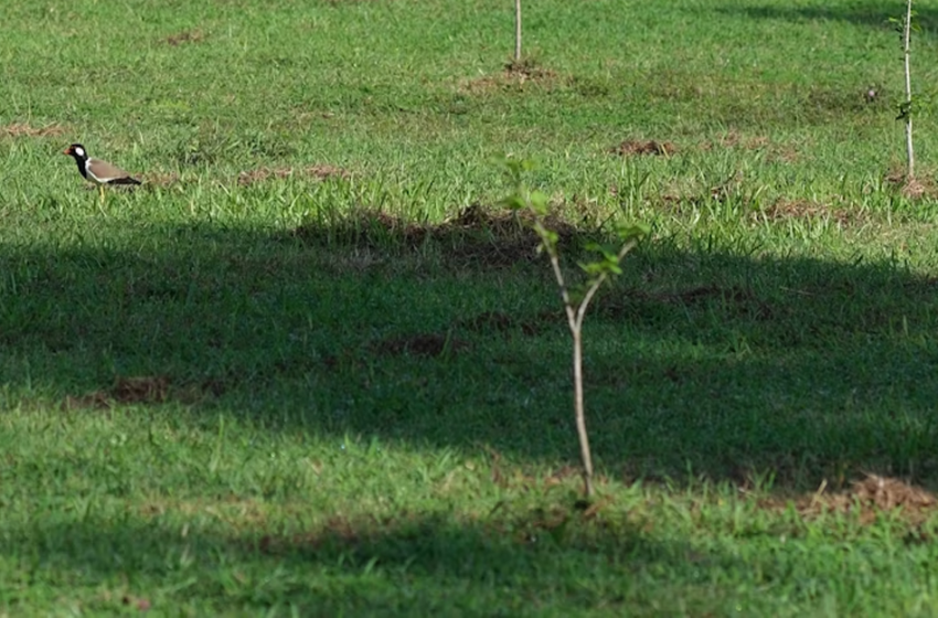  Connessioni Sostenibili