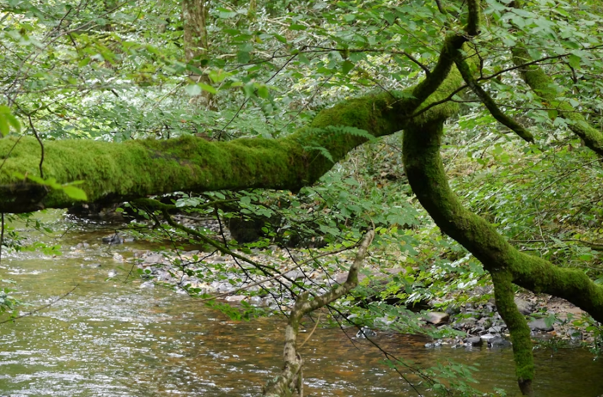  Dalle acque del Lambro, una risorgiva creativa