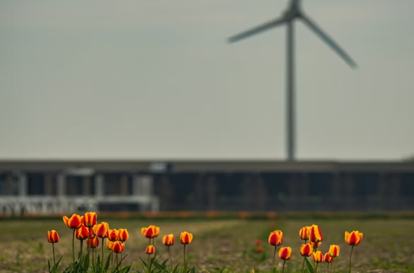  City’Scape – Landscape Project for Life and Climate