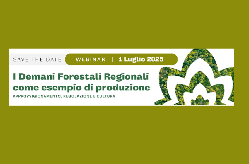  I Demani forestali regionali come esempio di produzione