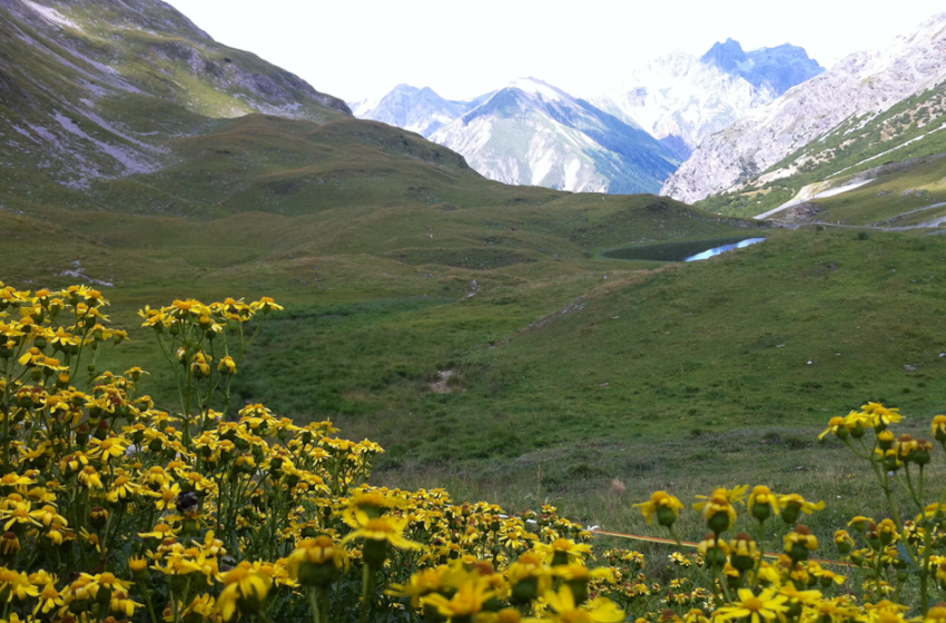  Rapporto Montagne Italia 2025