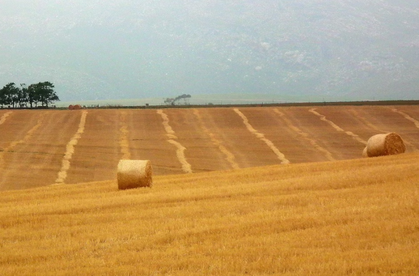  “Agricoltura 2030” Riflessioni dei Georgofili