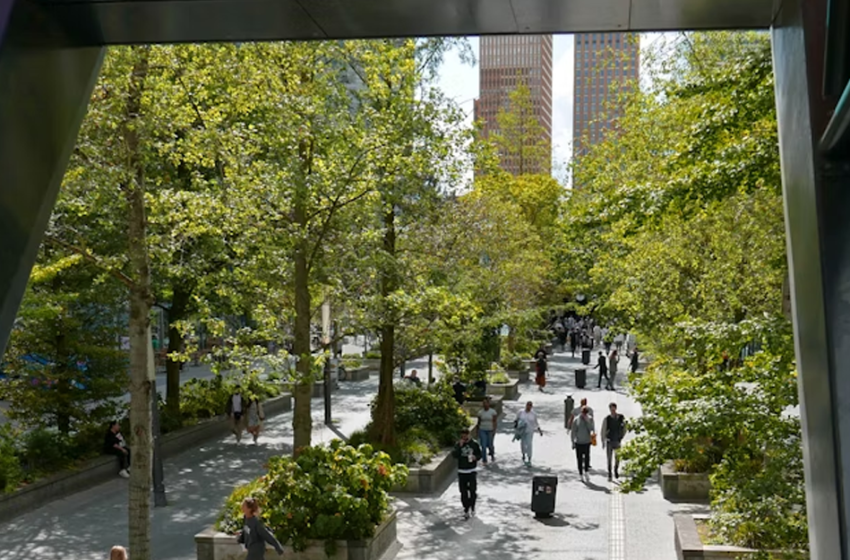 Esplorare come possiamo aumentare l’accesso alla natura urbana per migliorare la salute