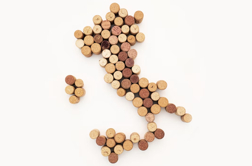  Le diseguaglianze territoriali: prospettive per regioni e città