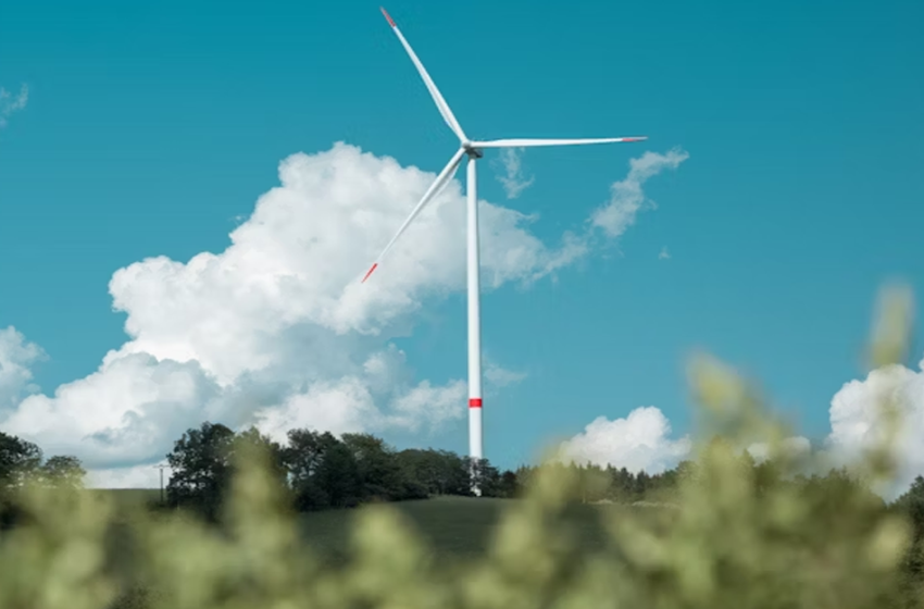 Ecologia e sostenibilità: strategie per affrontare le sfide del terzo millennio