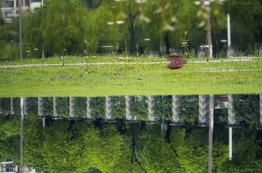  Rigenerazione urbana e verde: strategie per il futuro