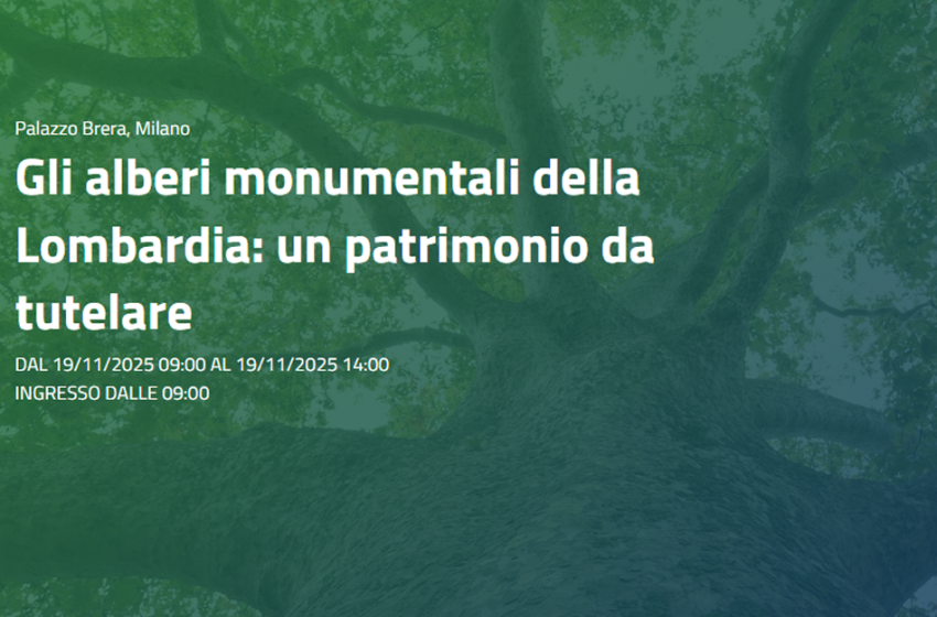  Gli alberi monumentali della Lombardia: un patrimonio da tutelare