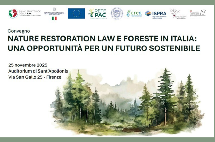  Nature restoration law e foreste: una opportunità per un futuro sostenibile
