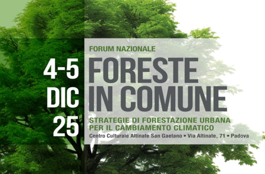  Il verde urbano per il cambiamento climatico