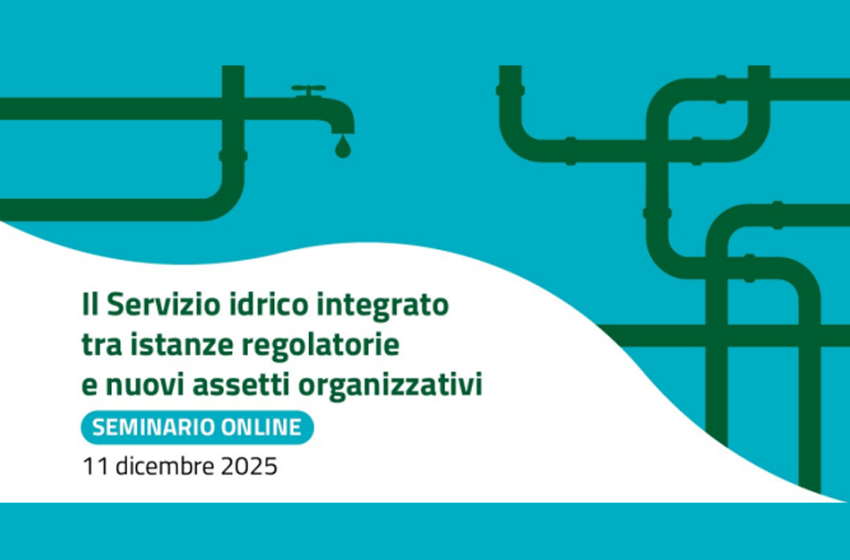  Il Servizio idrico integrato tra istanze regolatorie e nuovi assetti organizzativi