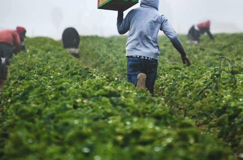  Territori dello sfruttamento
