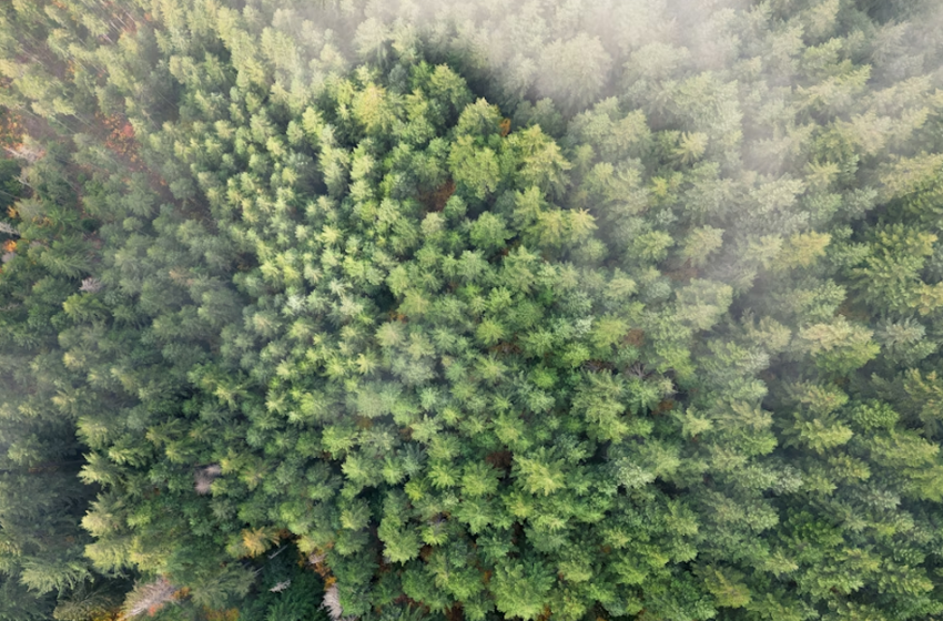  Ripartiamo dai fondamentali: pianificare, gestire, certificare