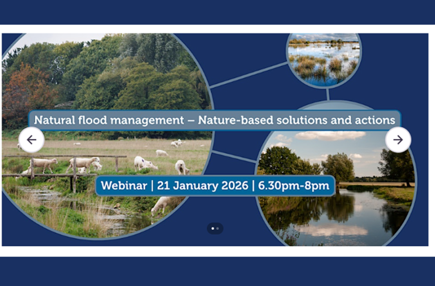  Gestione naturale delle inondazioni – Soluzioni e azioni basate sulla natura