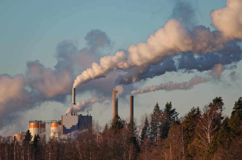  Zero Carbon Industry 2025