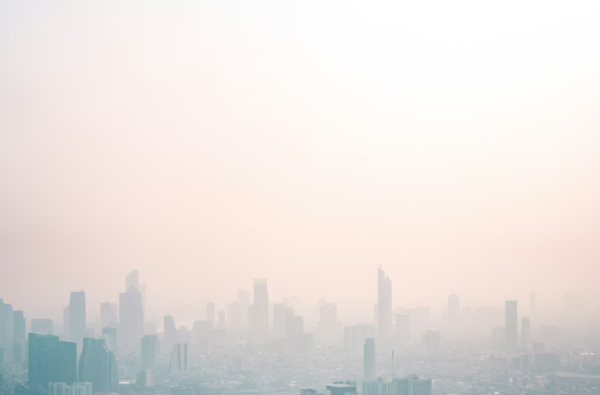  Costruire una cultura di azione per il clima tra i giovani