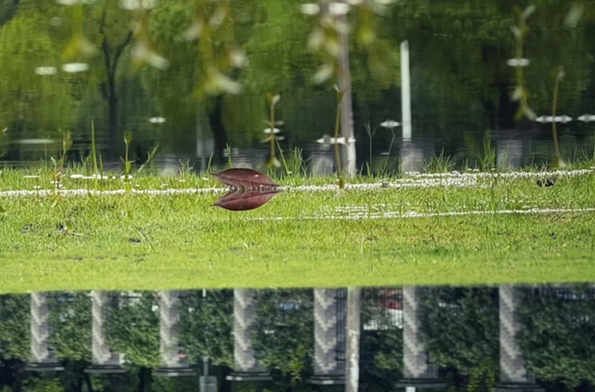  Natura per città sostenibili: pianificare soluzioni giuste ed economicamente vantaggiose per i problemi urbani