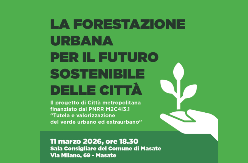  La forestazione urbana per il futuro sostenibile delle città 