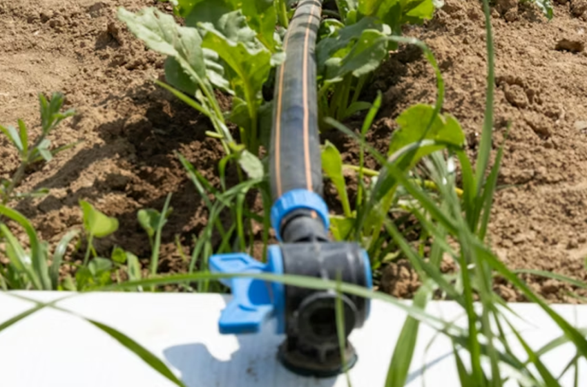  Gestione sostenibile delle risorse idriche e del suolo in agricoltura