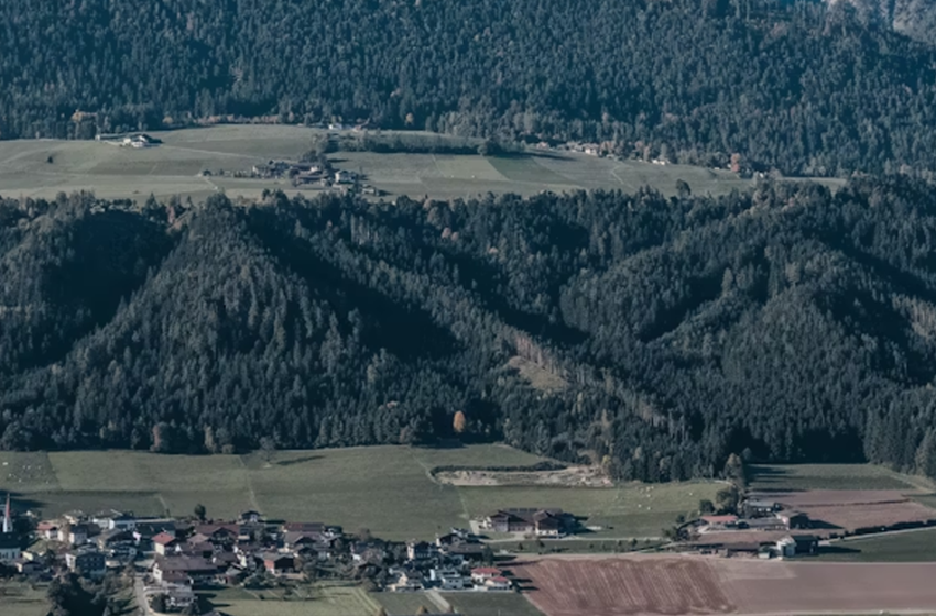  Il patrimonio come terreno comune