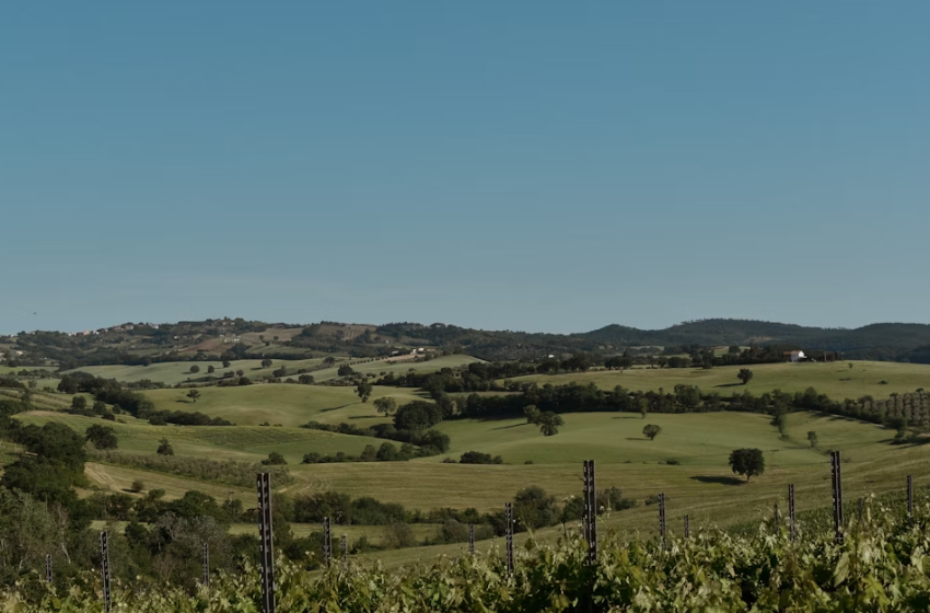  Tutela del paesaggio e transizione energetica: sfide e opportunità per la pianificazione