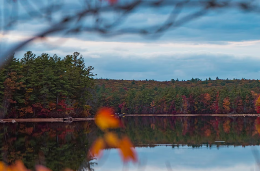  Antologia di testimonianze e opere vive