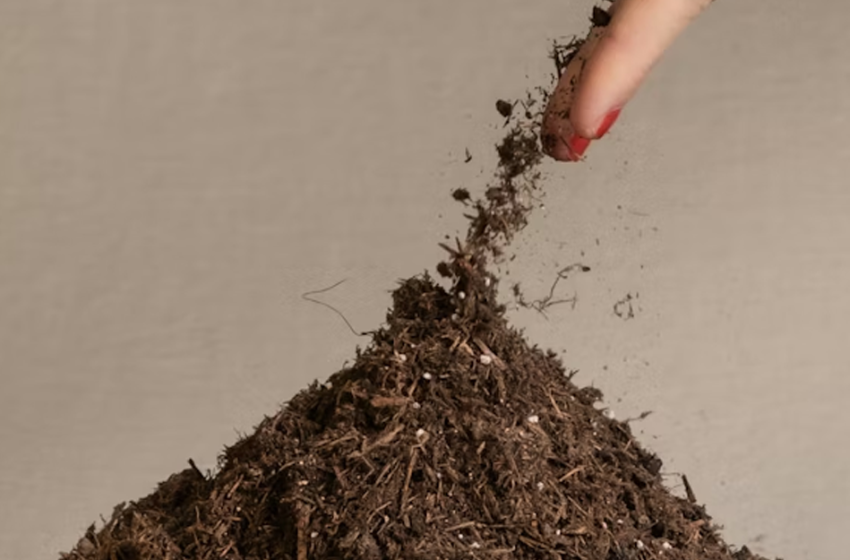  La degradazione del suolo: una minaccia alla sicurezza alimentare e ambientale