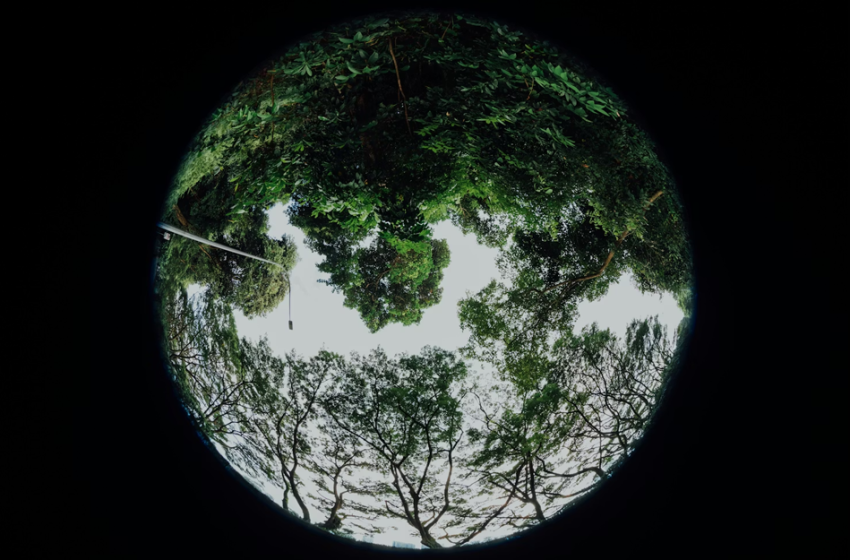  Le Buone Pratiche ICESP per la transizione circolare