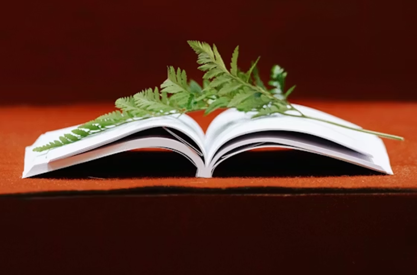  Where Learning Happens, Apprendimento e Città