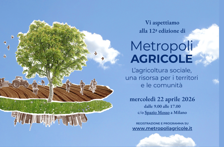  Metropoli AGRICOLE