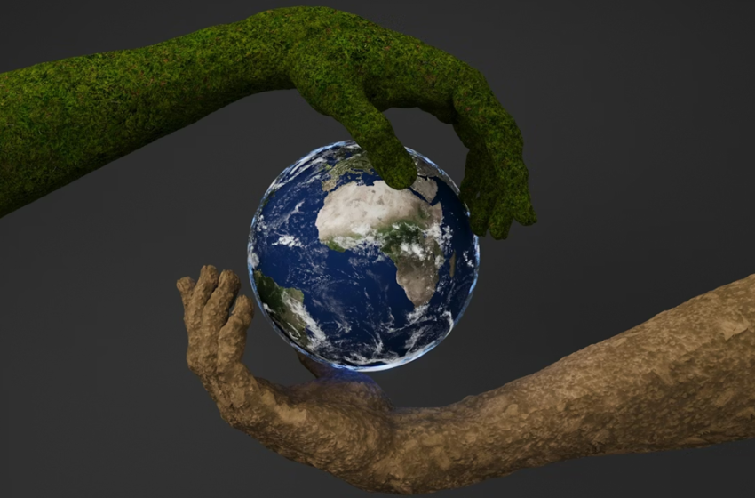  Percorsi professionali per la tutela dell’ambiente