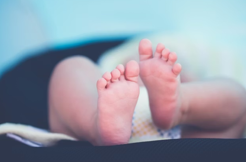  Denatalità, demografia e genitorialità: prospettive e soluzioni