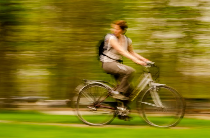  Esplorando il verde urbano