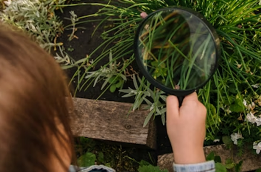  Bioblitz Lombardia 2026