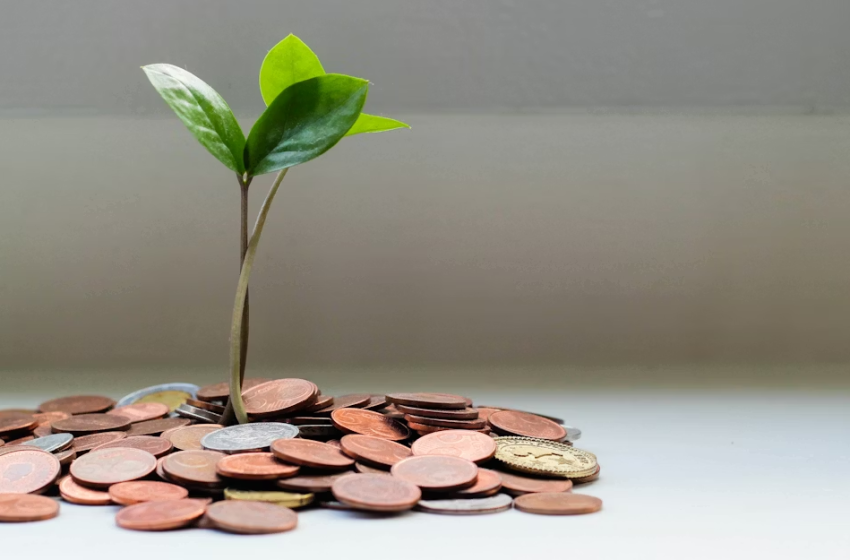  Sostenibilità e bilancio: strumenti e strategie per gli enti locali