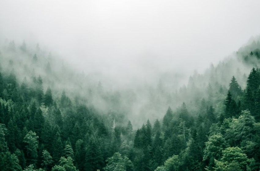  Dal locale al globale: chi decide e governa i rischi climatici?