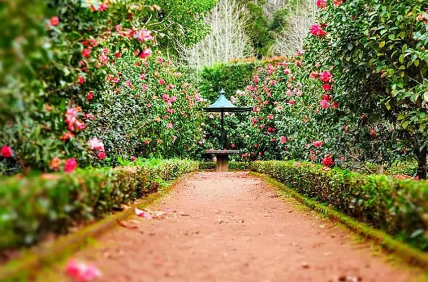  Oasi urbane. Arte e cultura dei giardini