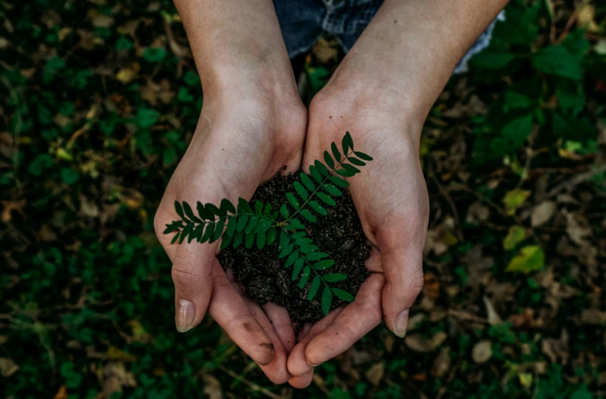  Misurare e gestire la sostenibilità