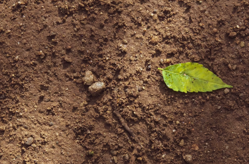  Ricerca e pratiche per la gestione sostenibile del suolo e del verde