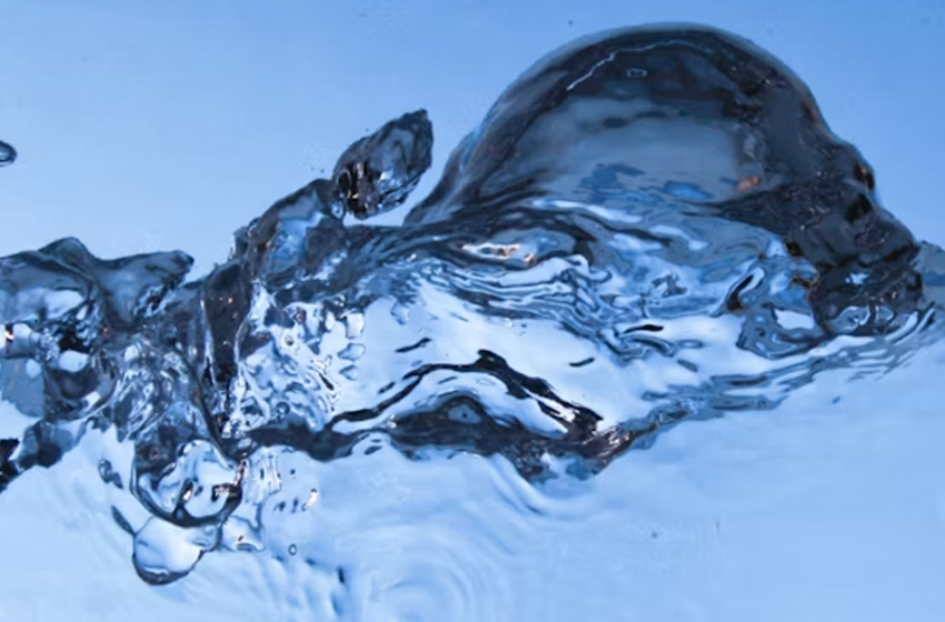  Acqua Summit 2026