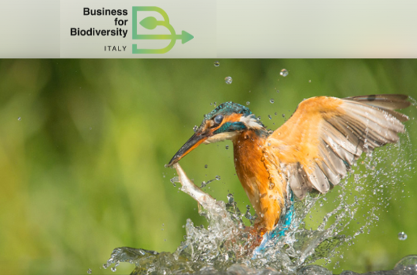 Finanza, imprese e istituzioni: nature strategy e uso sostenibile dell’acqua