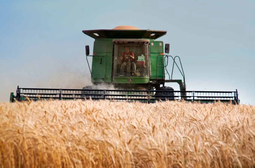  Your Next Lodi – La filiera Agribusiness – Valore, tendenze ed ecosistema