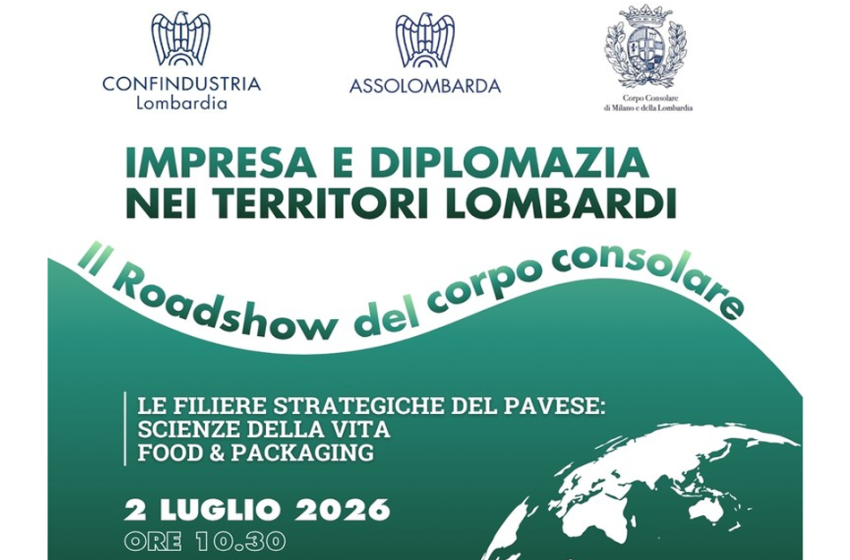  Impresa e diplomazia nei territori lombardi: le filiere strategiche del pavese
