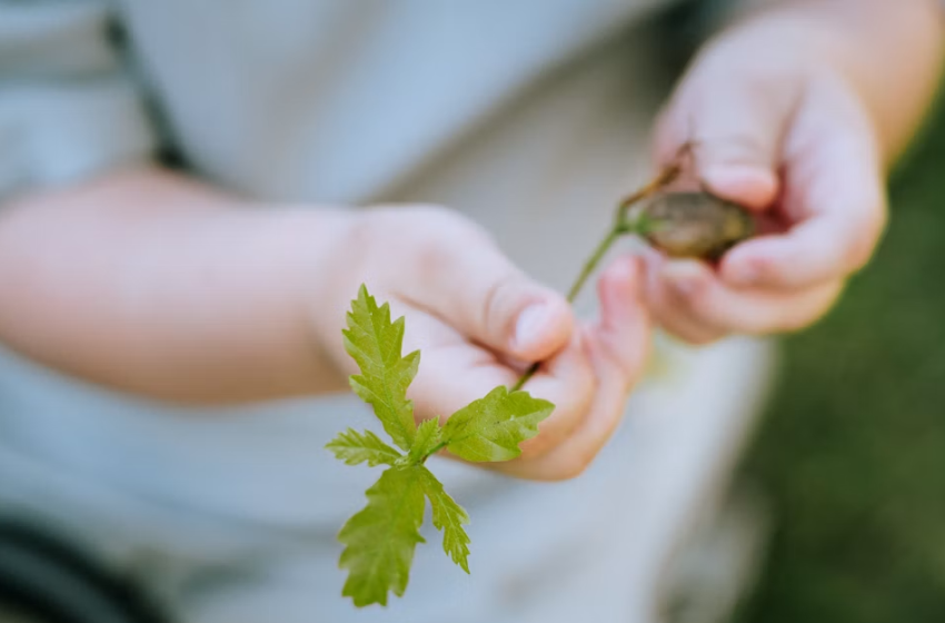  Finance, Business and Natural Capital 