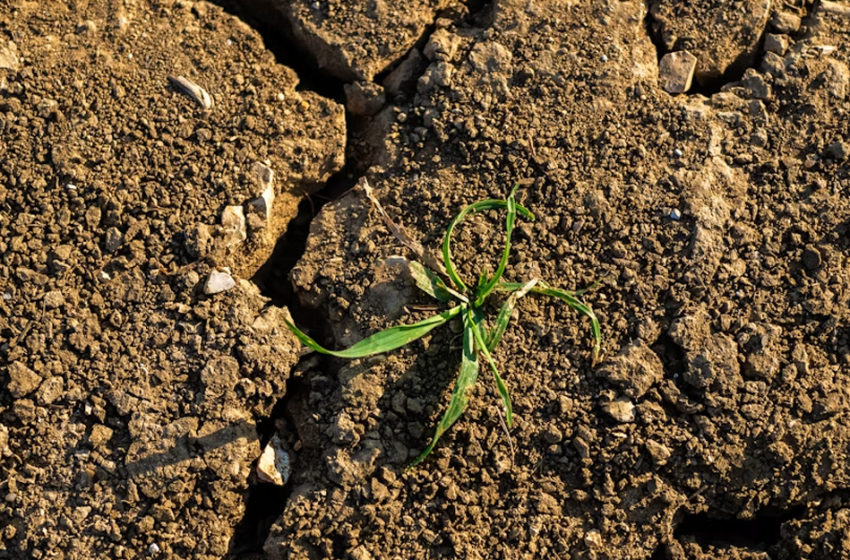  Monitoraggio del suolo nell’Antropocene – Una legge che descrive il problema e delega la soluzione