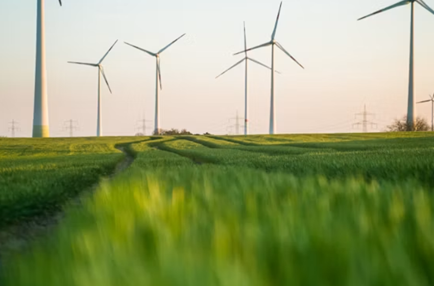  Spegni l’inquinamento e accendi l’energia pulita