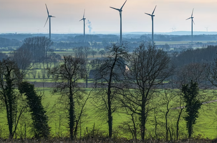  Energia pulita, Industria sostenibile: l’innovazione per un Paese stabile e prospero