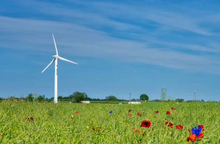  Transizione energetica e tutela degli ecosistemi