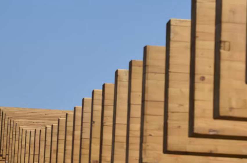  Congresso Legno Italia 2026: storie di alberi, industria e costruzioni per la decarbonizzazione delle città